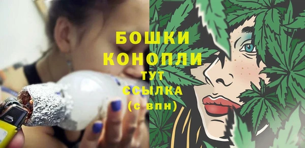 шишки Березники