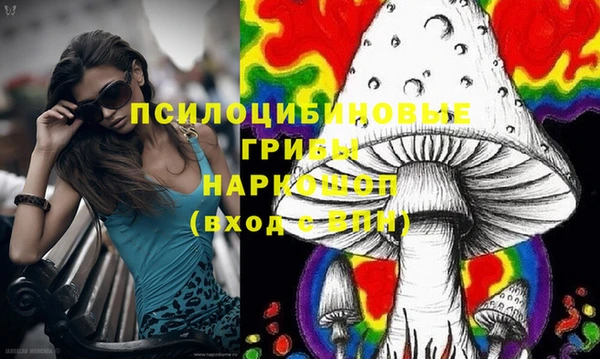 дживик Мегион