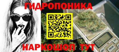 ГАЛЛЮЦИНОГЕННЫЕ ГРИБЫ Аргун
