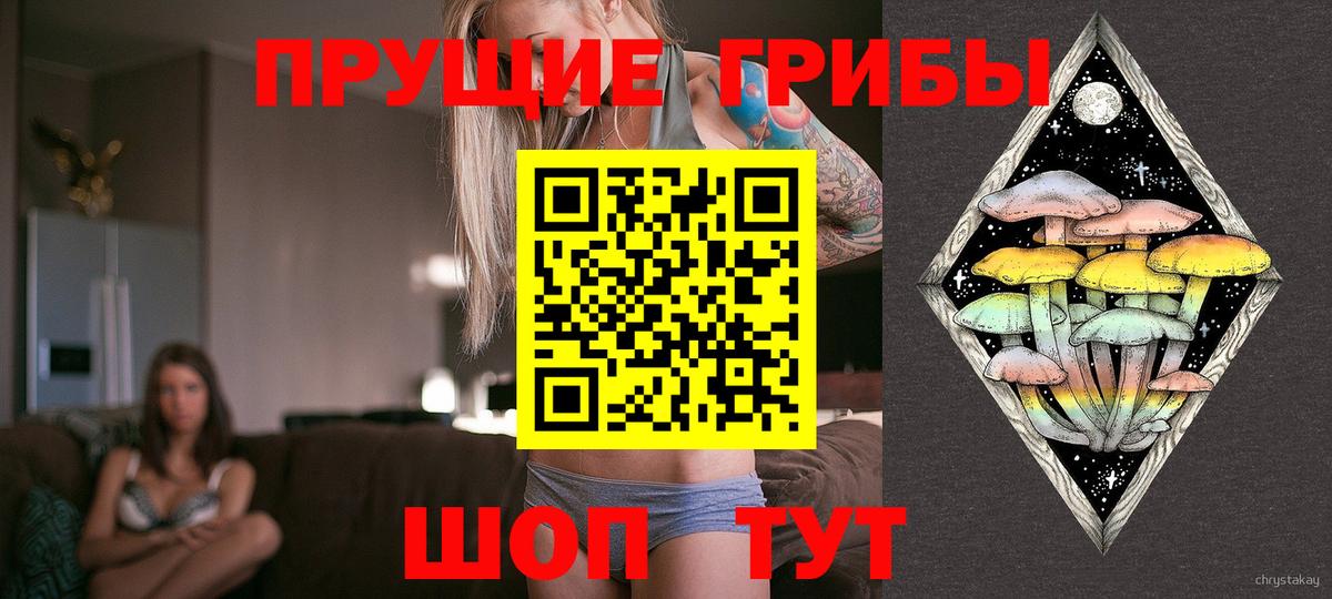Псилоцибиновые грибы ЛСД Бор