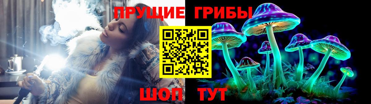 купить  цена  Галлюциногенные грибы Psilocybine cubensis  Вход с VPN  Бор 